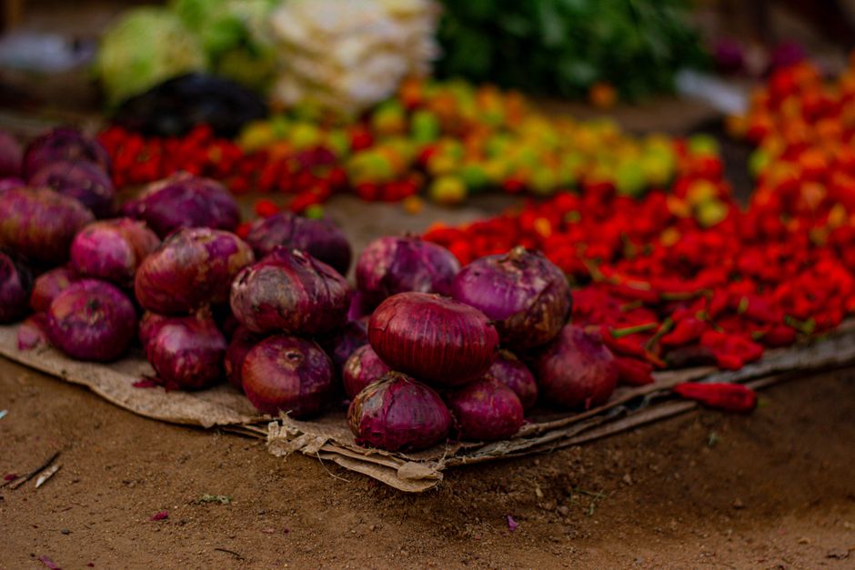 A Kinder Approach to Health Through The Seasons, Without the Hype