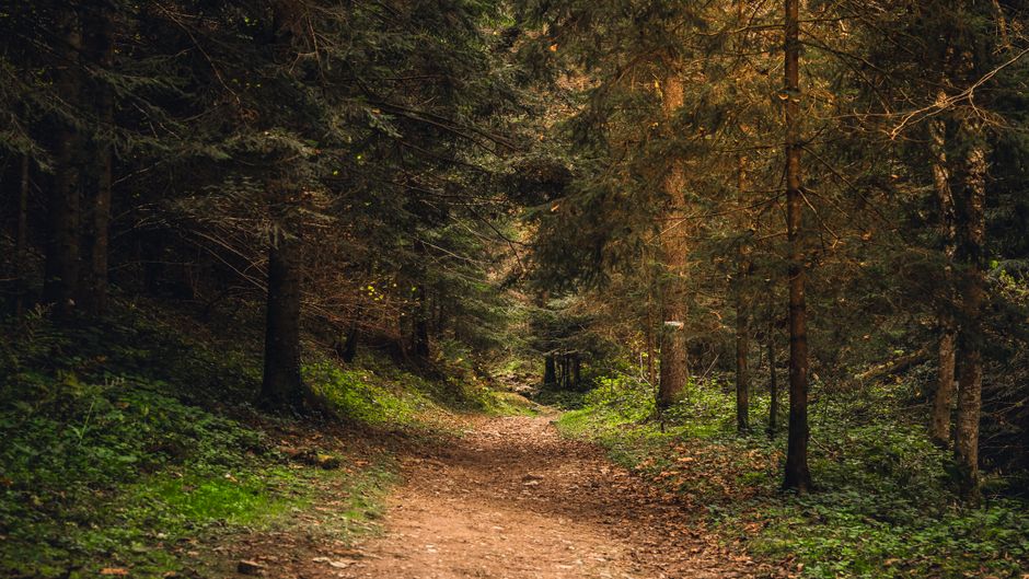 A Sensible Look at Living A Healthy Lifestyle, on a Normal Week