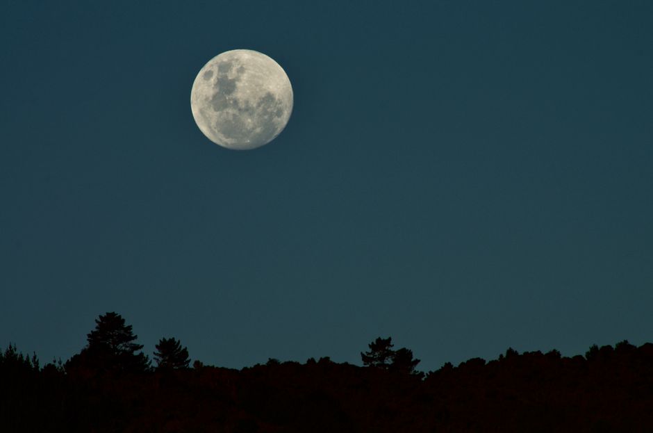 A Sensible Look at Why The First Hour After Waking Matters, Day by Day
