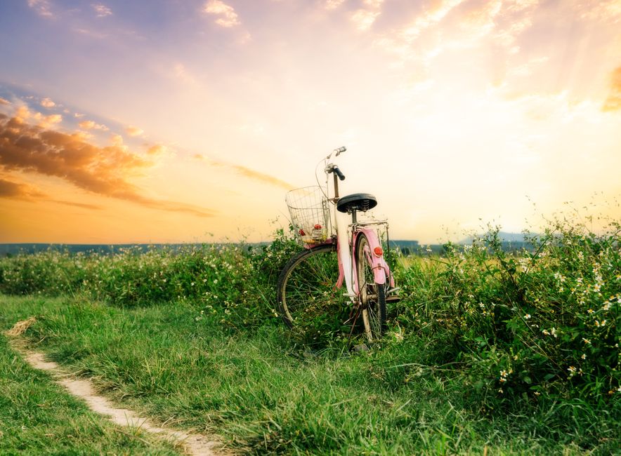 Caring For Your Overall Health Without the Guesswork, the Honest Way
