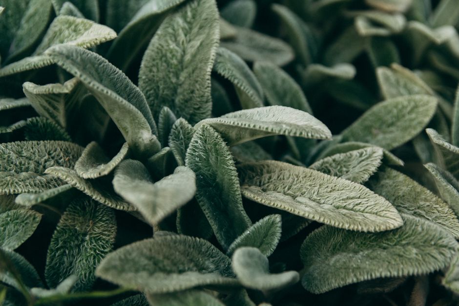 Everyday Habits Built Around Hydration, Breath And The Overlooked Basics, Explained Simply