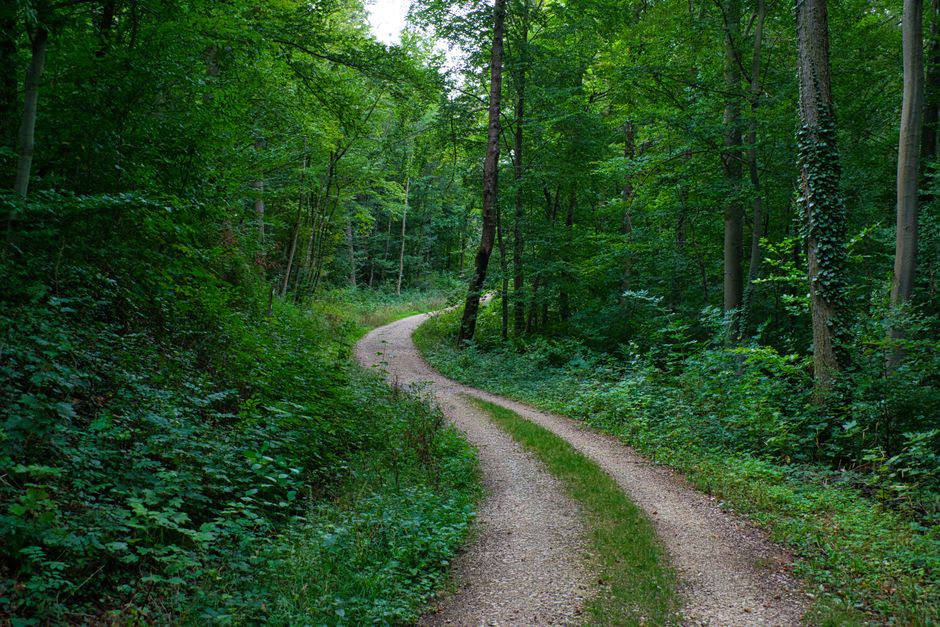 Getting Started With Creating Healthy Long-Term Habits, for Real Life