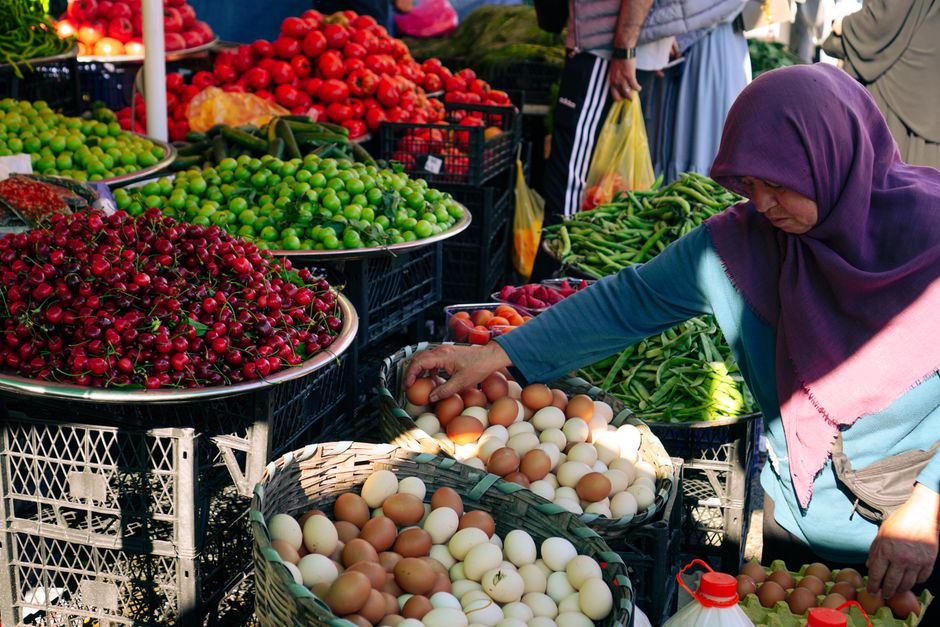 Getting Started With The Role Of Environment In Health, Explained Simply