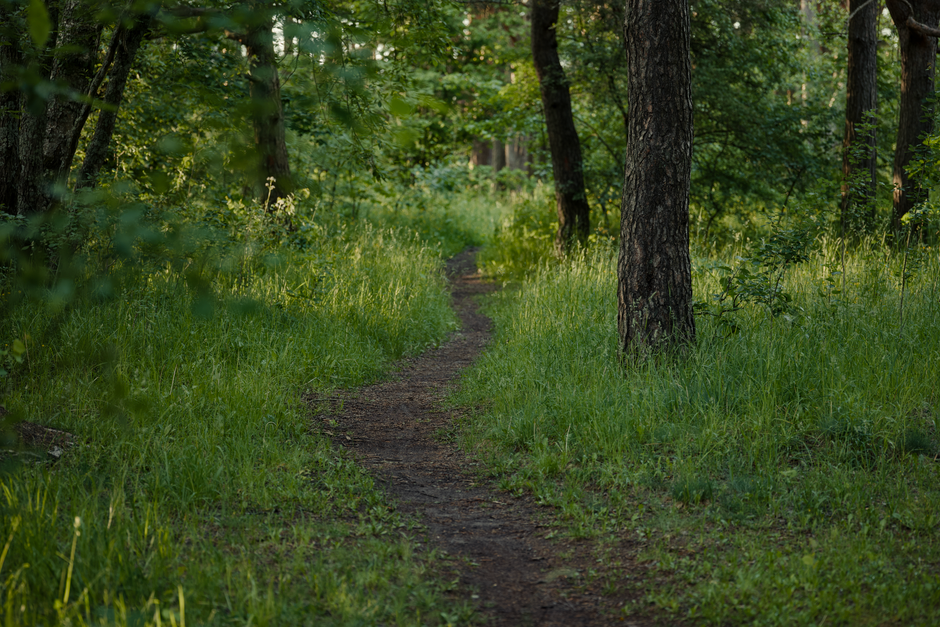 Making Sense of Tracking, Measuring And When To Stop, Step by Step