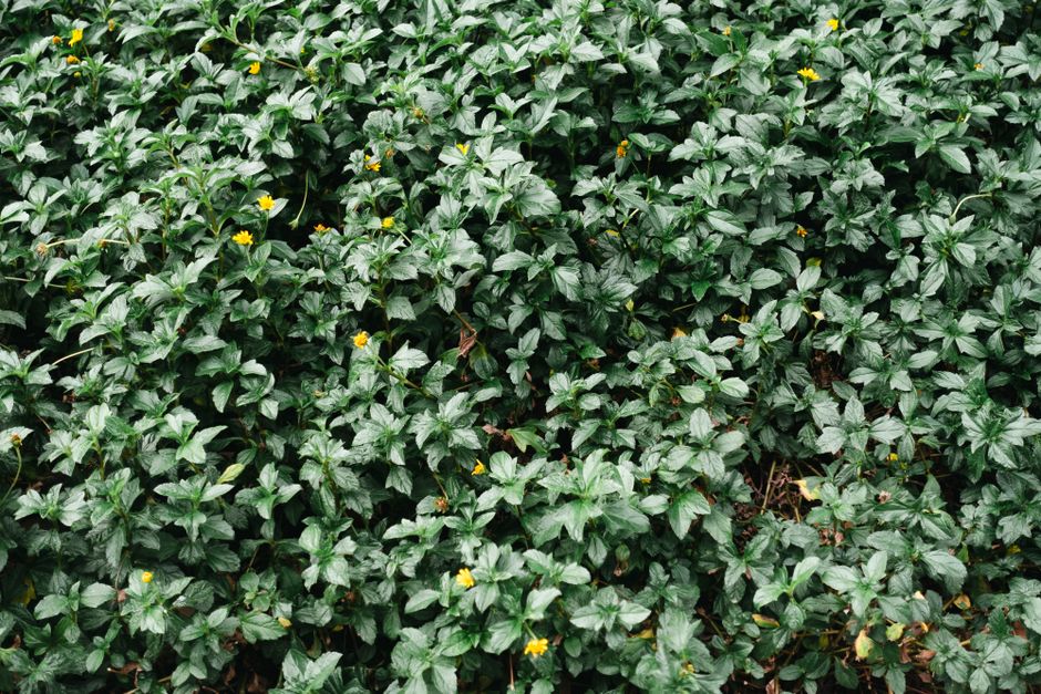 Seasonal Changes And How The Body Responds for Busy People, on a Normal Week