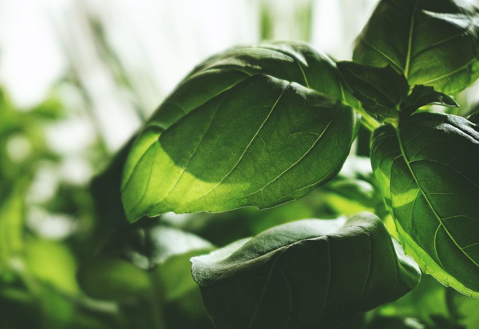 Starting Small With Breathing, Calm And What Is Real, Explained Simply