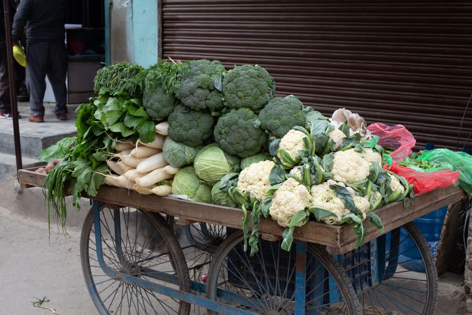 The Many Meanings Of A Healthy Diet Without the Guesswork, One Step at a Time