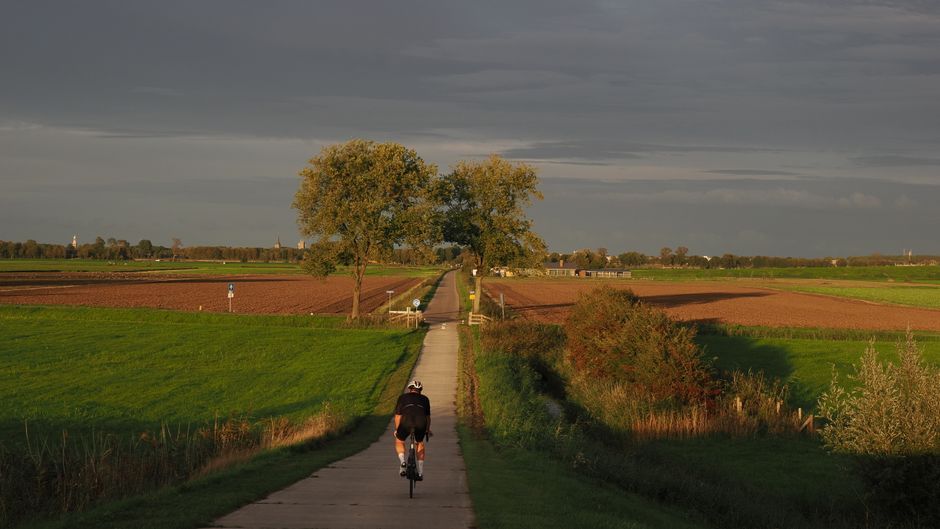 The Pleasure Principle In Healthy Living as a Daily Habit, One Step at a Time