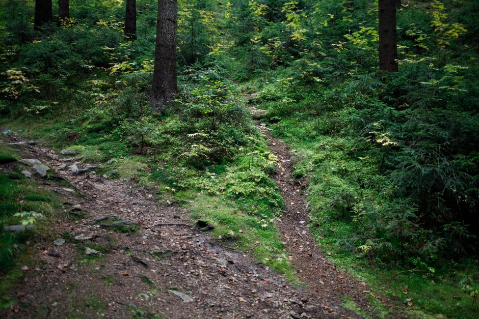 The Truth About Habits: How They Actually Form, Day by Day
