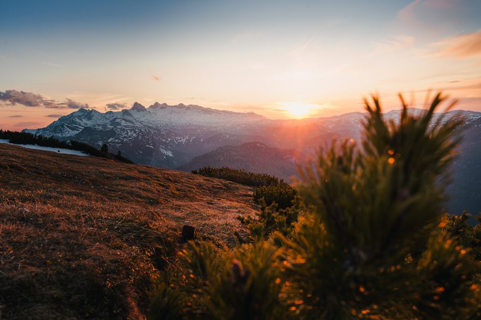 Understanding Health And Wellness as a Daily Habit, for Real Life