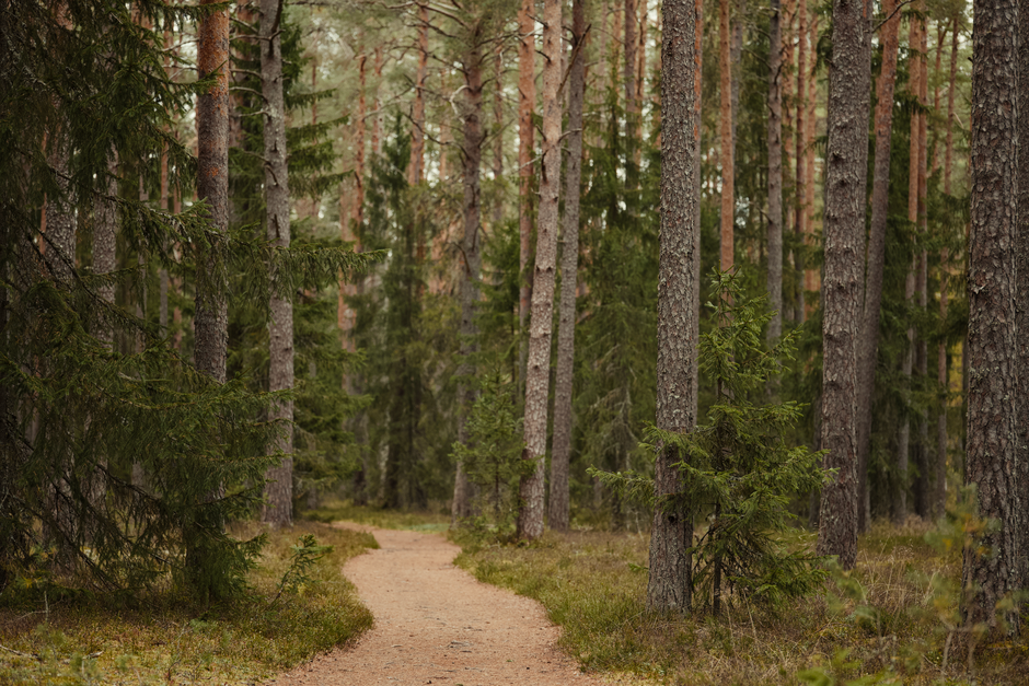 What Nobody Tells You About Why Consistency Beats Intensity, Without Overthinking It
