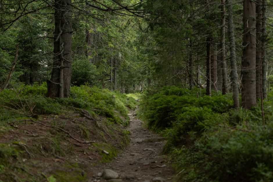 Where to Begin With Starting Over Without Starting From Scratch, Starting Today