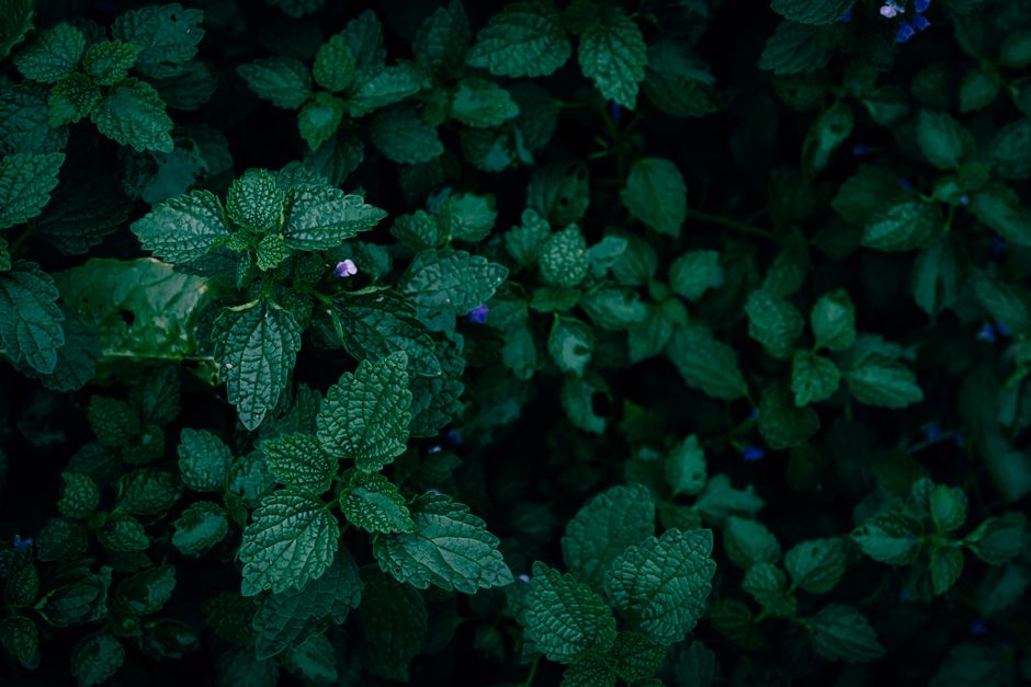 Why Seasonal Changes And How The Body Responds Is Worth Your Attention, Explained Simply